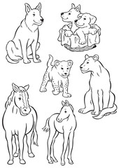 Mother and baby dog, lion & horse