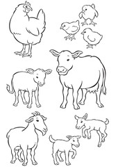 Mother & Baby hen, cow and goat
