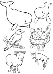 Mother & Baby whale, sheep & bird