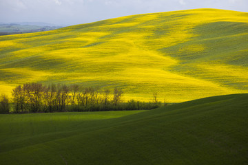Campagna Toscana