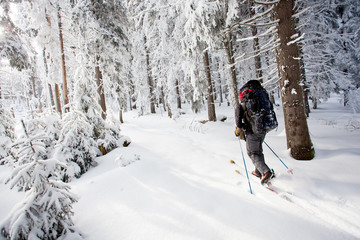 Hiker skiing in winter in mountains