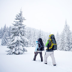 Hiker in the winter forest