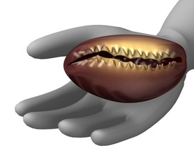 3d render of cartoon character with shell