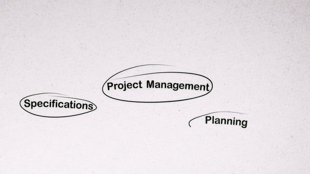 Project Management Brainstorming Mind Map