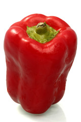Paprika