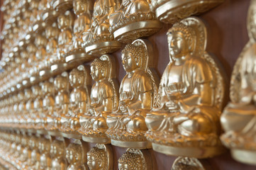 10000 Golden Buddha in Chinese temple
