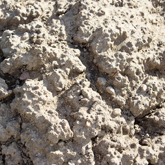 sand closeup as texture