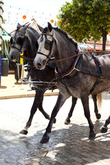 Naklejka na ściany i meble Horse carriage in Seville, Spain