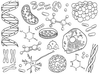 Biology and chemistry icons isolated
