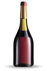 Wine bottle