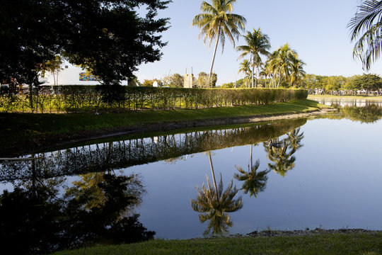 lake with reflex of trees