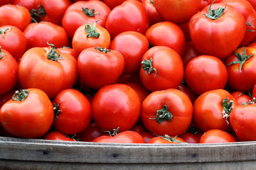 Tomatoes at the Farmer's Market