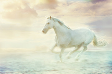 Naklejka na ściany i meble fantazja biały koń