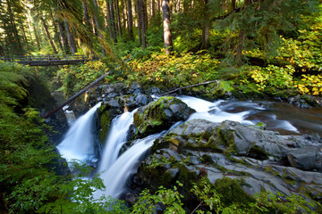 Sol Duc