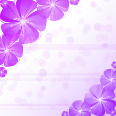 Violet Flower abstract background