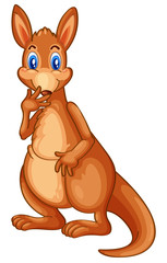 Kangaroo