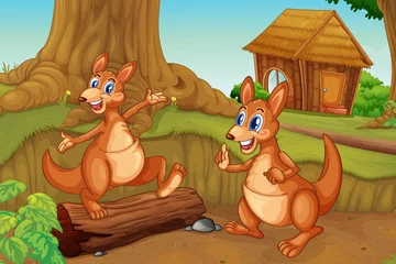 Photo sur Plexiglas Animaux de la forêt Kangourous jouant