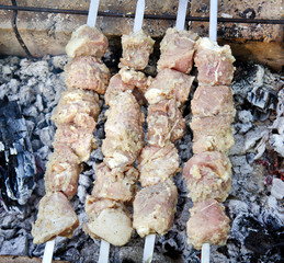 Shashlik (shish kebab) barbecue prepared on a vine wood coal