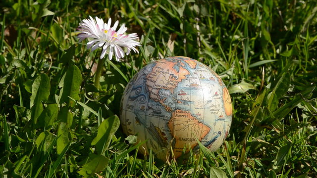 crystal ball and spring flowers in the wind