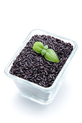 riso venere su sfondo bianco © denio109