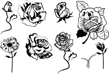 set of rose flowers sketches