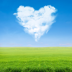 Fototapeta na wymiar green field blue sky with cloudy heart