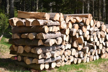 Brennholz © ernstboese