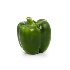 green pepper poivron vert