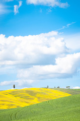 Obraz premium Tuscany landscape