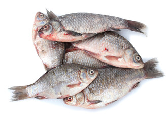 Fresh fishes isolated on white