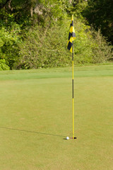 Obraz premium Golf Ball and Flag on Green