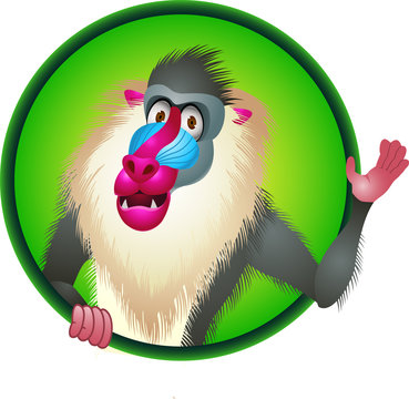 Baboon cartoon
