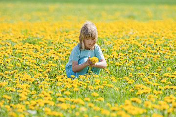 boy picking dandelions