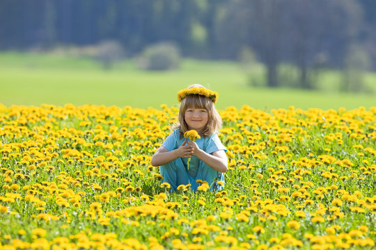 Boy Picking Dandelions