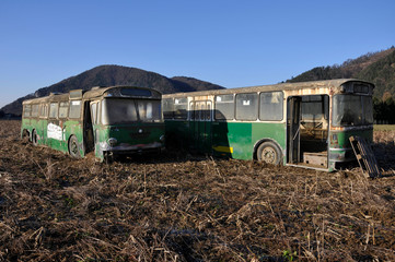 two discarded buses in the field