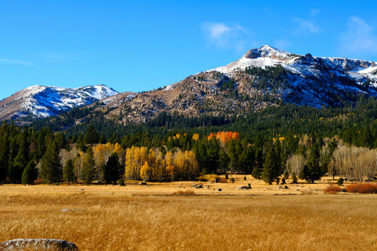 Fototapeta Fall Season In The Sierras