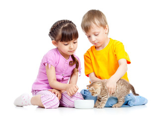 children boy and girl feeding attractive kitten