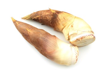 朝掘りタケノコ