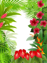 Foto op Plexiglas tropical forest background © idesign2000