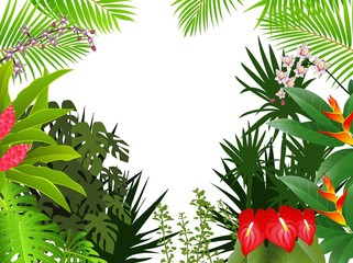 Obraz premium tropical forest background
