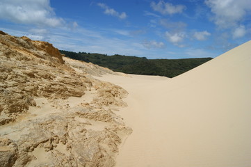 dunes