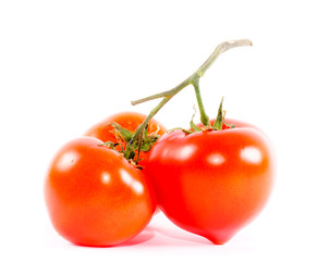 Shiny tomatoes