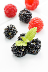 Berry fruits