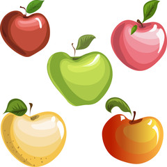 Apples. Vector