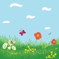 Foto auf Acrylglas Nahtloser horizontaler Hintergrund mit Gras, Blumen, Himmel © Tuja