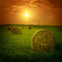 Field with hay bales at twilight. © Elena Volkova