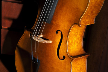 Cello or violoncello