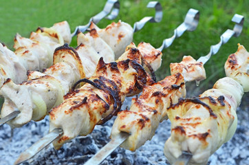 shish kebab on skewers and hot coals