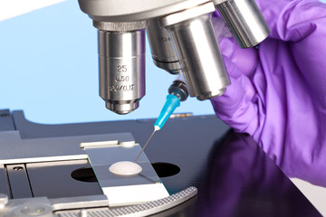 Embryology sample and microscope