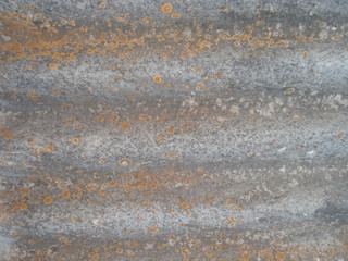 Sheet of slate, spoiled by fungus. Background